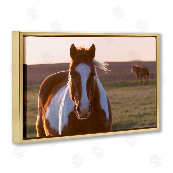 Stupell Industries Steve Toole | Spotted Horse In Rural Countryside