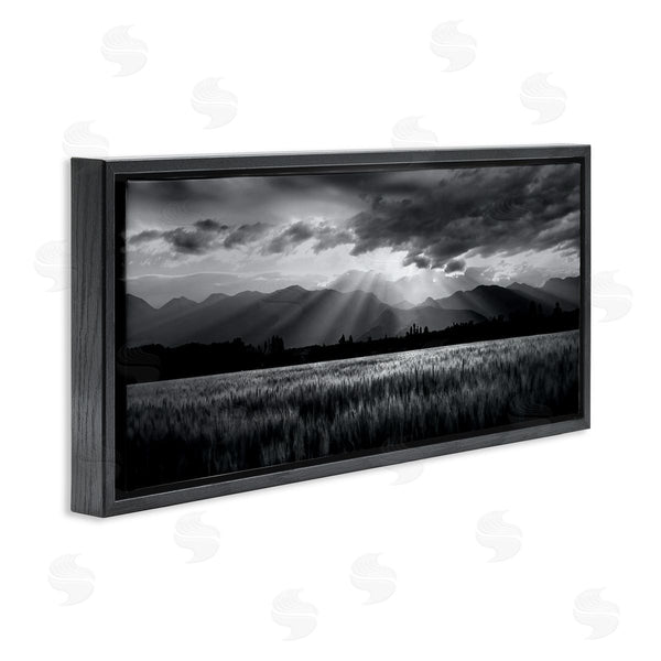 Stupell Industries Steve Toole | Sun Rays Field Landscape