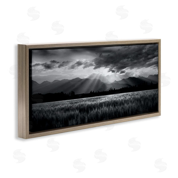 Stupell Industries Steve Toole | Sun Rays Field Landscape