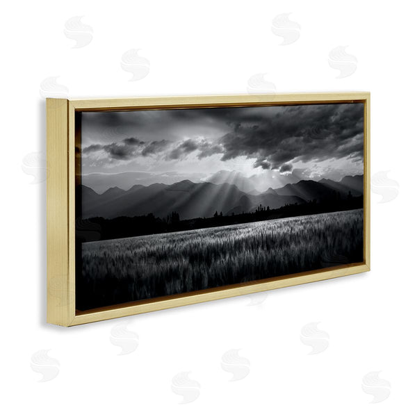 Stupell Industries Steve Toole | Sun Rays Field Landscape