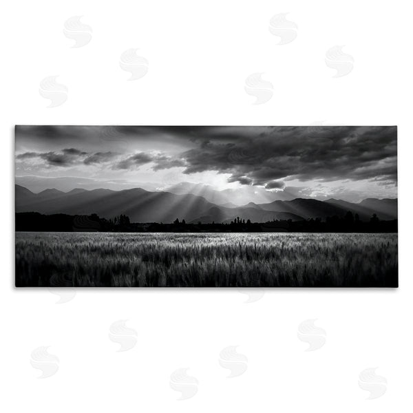 stupell industries Steve Toole | Sun Rays Field Landscape