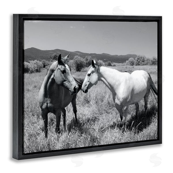 Stupell Industries Steve Toole | Two Horses Photography Wall Art