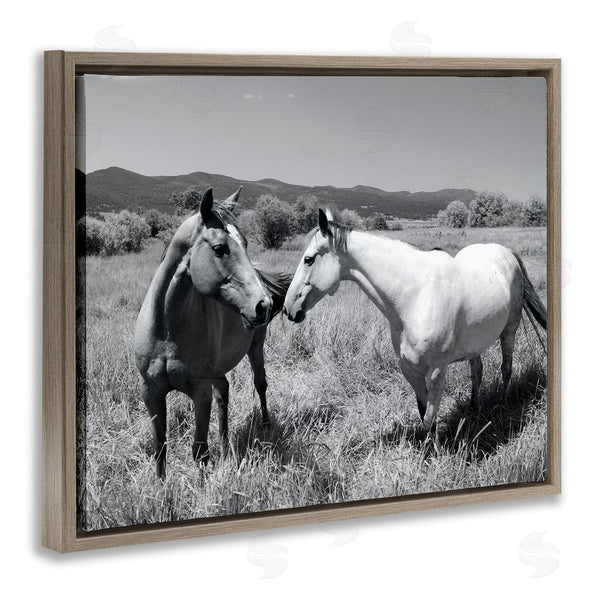 Stupell Industries Steve Toole | Two Horses Photography Wall Art