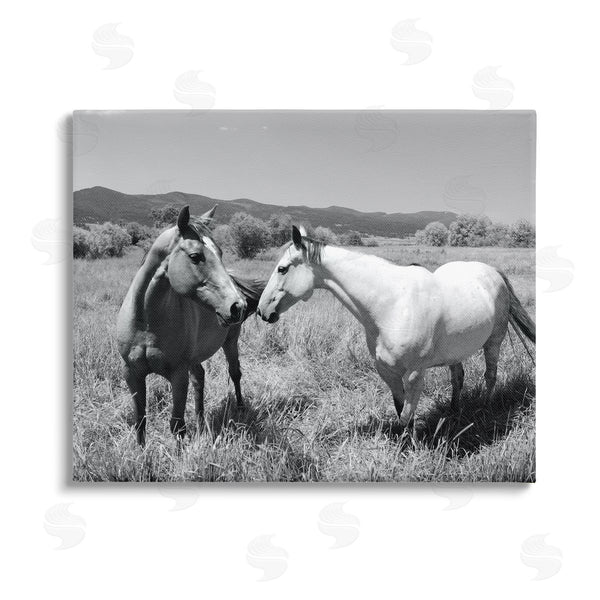 stupell industries Steve Toole | Two Horses Photography Wall Art