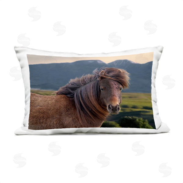Stupell Industries Steve Toole | Windblown Mare In Mountain Valley