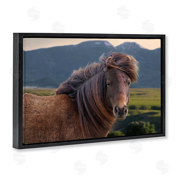 Stupell Industries Steve Toole | Windblown Mare In Mountain Valley