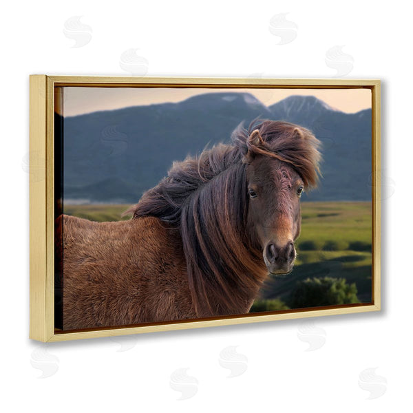Stupell Industries Steve Toole | Windblown Mare In Mountain Valley
