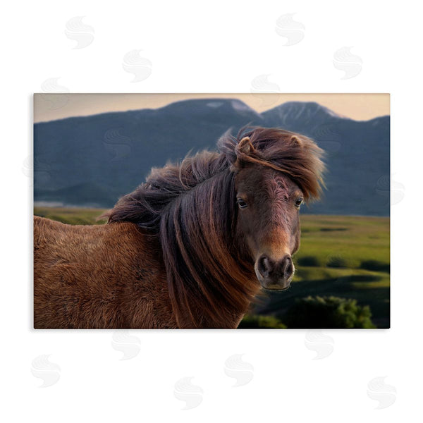 stupell industries Steve Toole | Windblown Mare in Mountain Valley