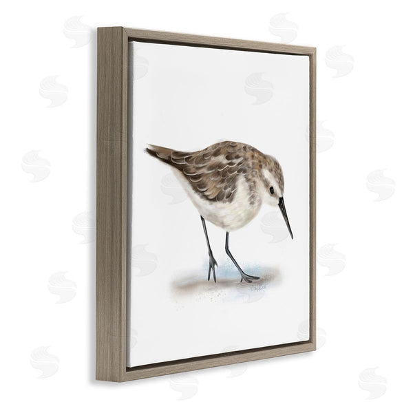 Stupell Industries Studio Q | Charming Sandpiper On Soft Sand Brown Nautical Bird Wall Art