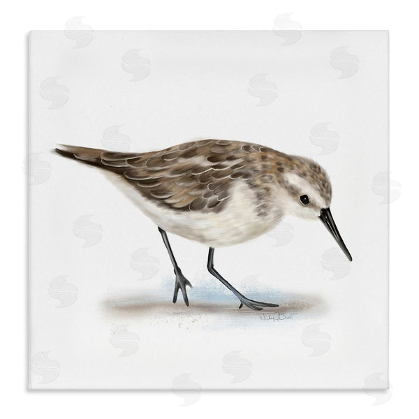 stupell industries Studio Q | Charming Sandpiper on Soft Sand Brown Nautical Bird Wall Art