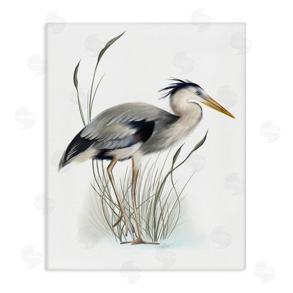 stupell industries Studio Q | Detailed Heron Bird Leering Wetland Grass Marsh Wall Art