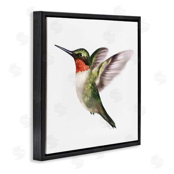 Stupell Industries Studio Q | Flying Hummingbird Wings Hovering Casual Painting Wall Art