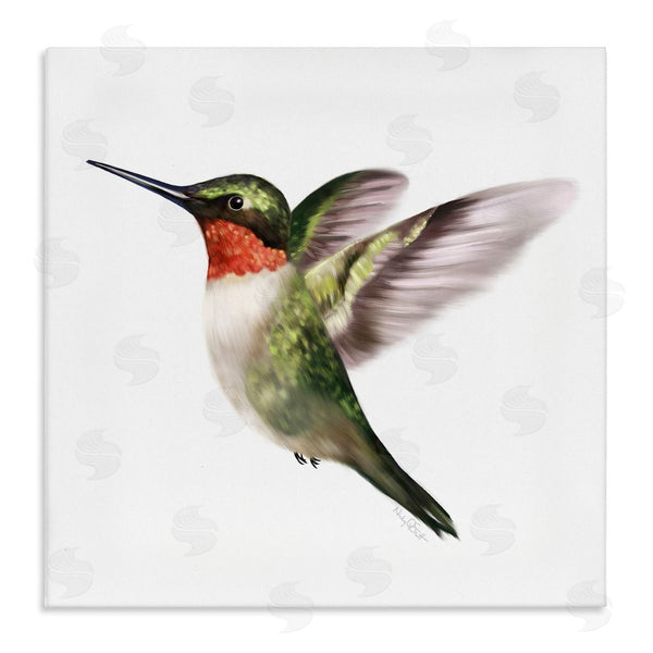 stupell industries Studio Q | Flying Hummingbird Wings Hovering Casual Painting Wall Art