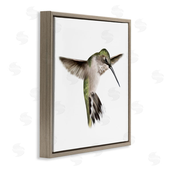 Stupell Industries Studio Q | Green Hummingbird Hovering Wings Flying Bird Beak Wall Art