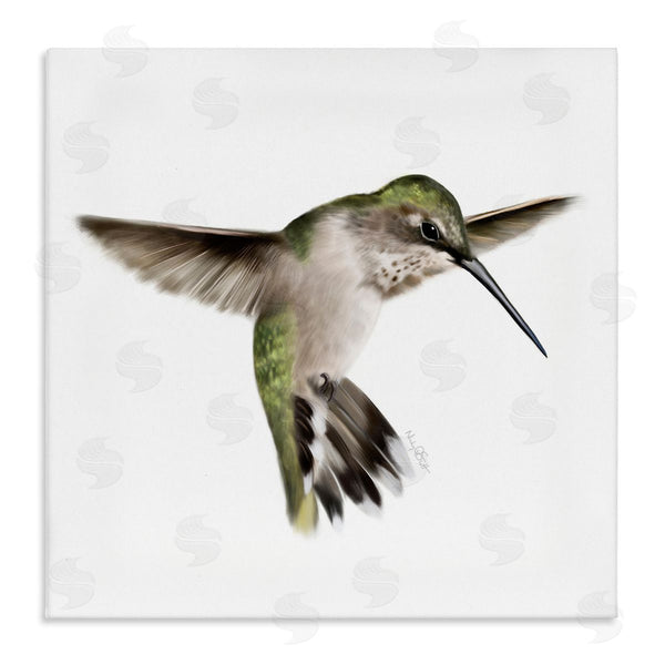 stupell industries Studio Q | Green Hummingbird Hovering Wings Flying Bird Beak Wall Art
