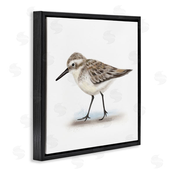 Stupell Industries Studio Q | Nautical Sandpiper Bird On Sand Speckled Feathers Wall Art