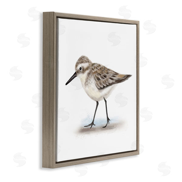 Stupell Industries Studio Q | Nautical Sandpiper Bird On Sand Speckled Feathers Wall Art
