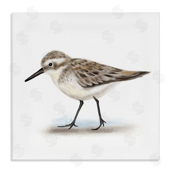 stupell industries Studio Q | Nautical Sandpiper Bird on Sand Speckled Feathers Wall Art