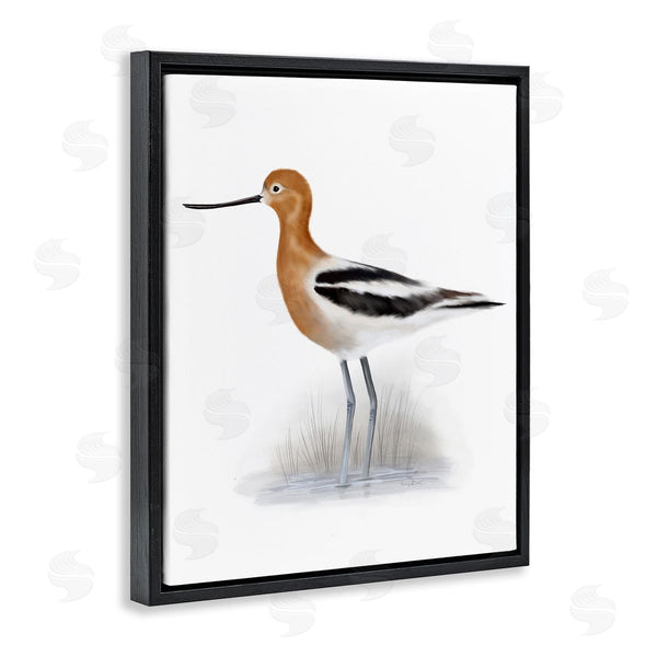 Stupell Industries Studio Q | Orange Avocet Marshland Bird Black Stripe Wings Wall Art