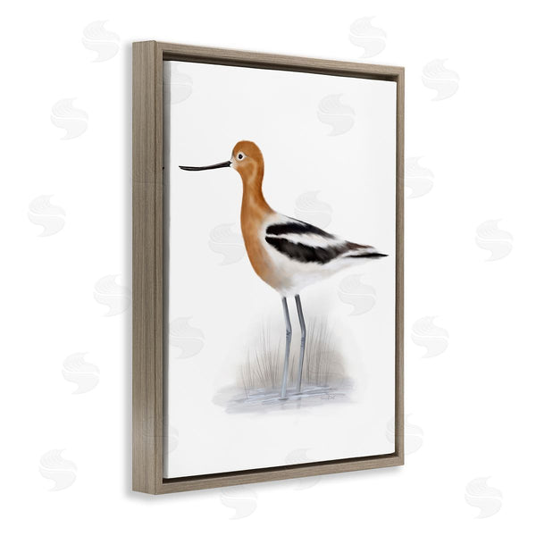 Stupell Industries Studio Q | Orange Avocet Marshland Bird Black Stripe Wings Wall Art