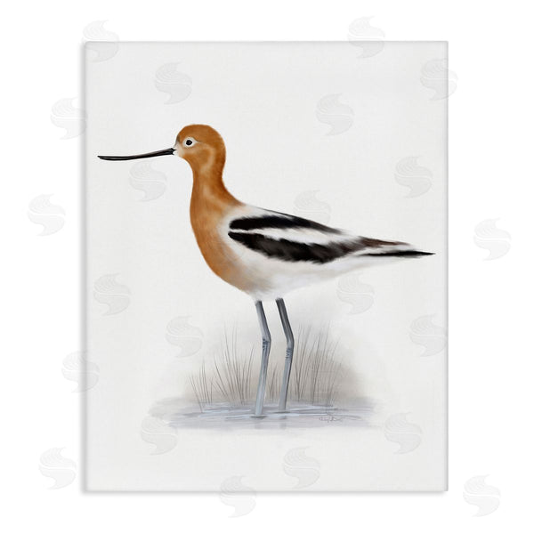 stupell industries Studio Q | Orange Avocet Marshland Bird Black Stripe Wings Wall Art