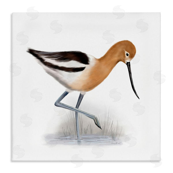 stupell industries Studio Q | Orange Feathered Avocet Wetland Bird Long Beak Wall Art