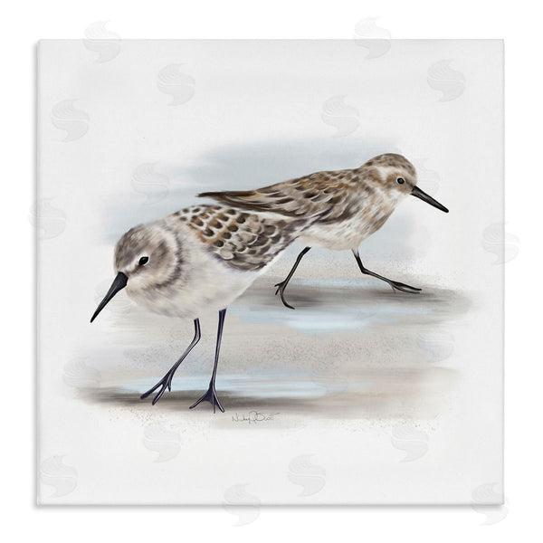 stupell industries Studio Q | Sandpiper Pair on Sandy Beach