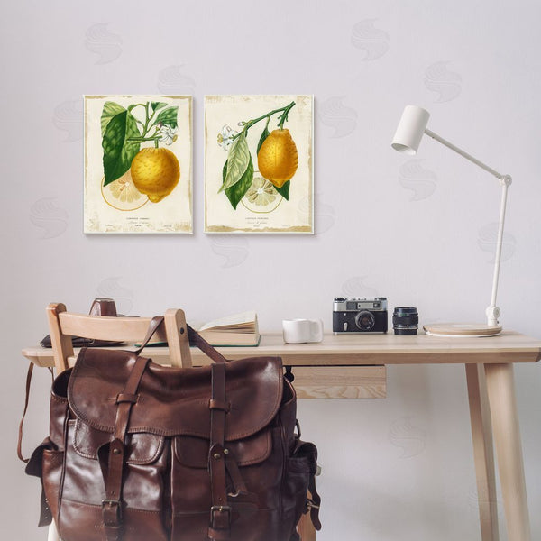 Stupell Industries Studio W | Floral Lemon Branch With French Script Wall Art