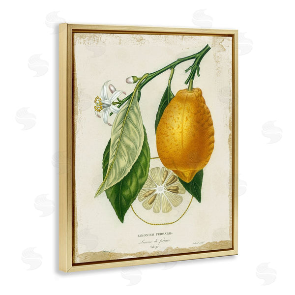 Stupell Industries Studio W | Vintage French Lemon Branch