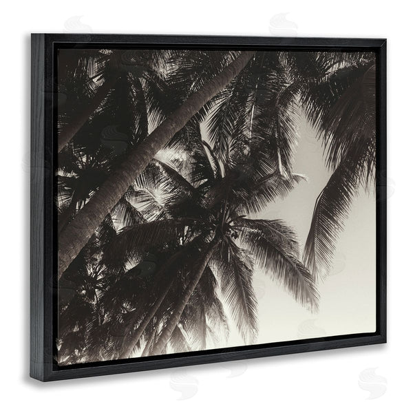 Stupell Industries Acosta | Dark Palm Leaves