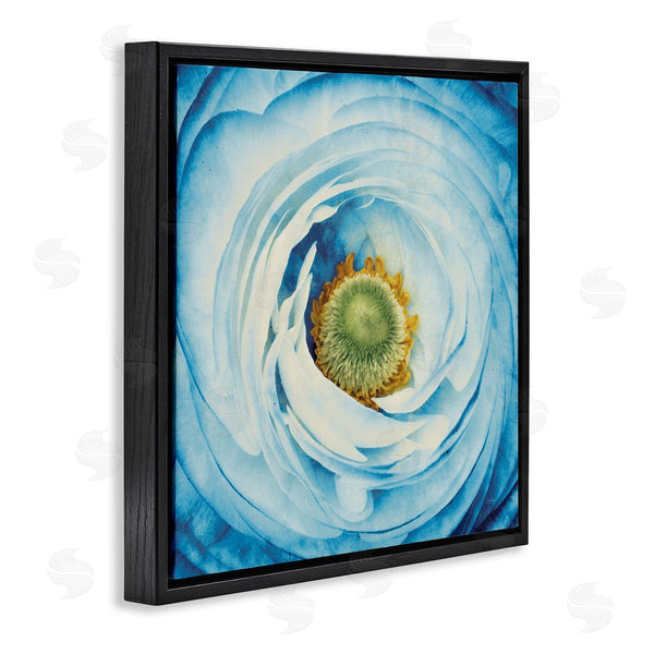 Stupell Industries Aledanda | Blue Flower Close Up