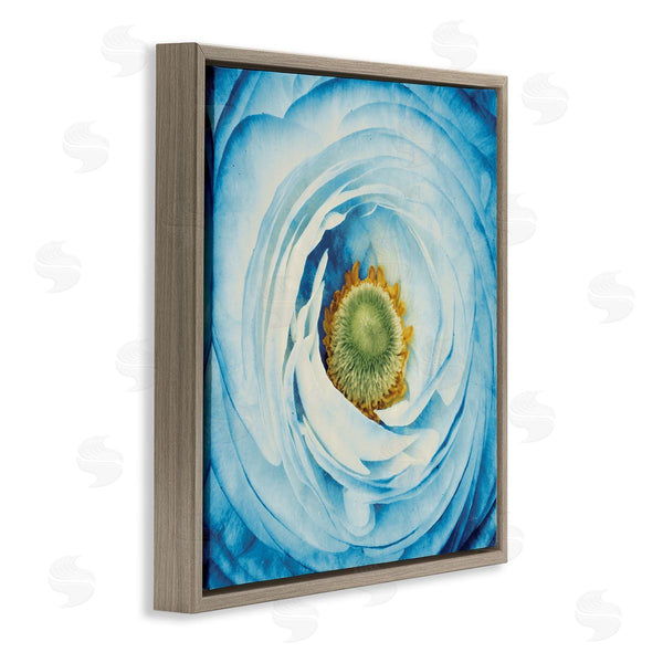 Stupell Industries Aledanda | Blue Flower Close Up