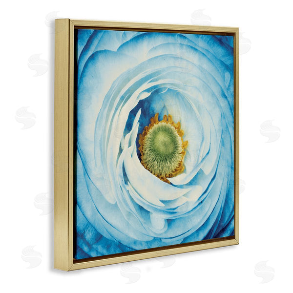 Stupell Industries Aledanda | Blue Flower Close Up