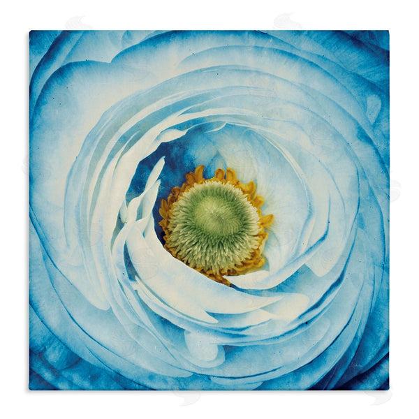 stupell industries Aledanda | Blue Flower Close Up