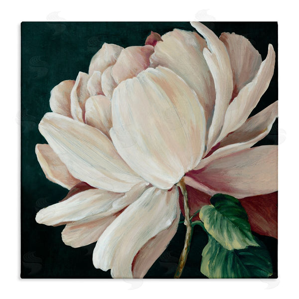 stupell industries Alex Black | Heart Of The Bloom