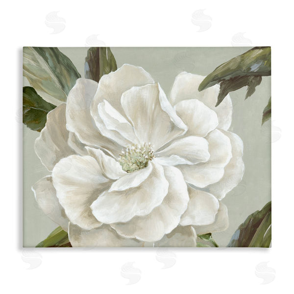 stupell industries Alex Black | White Rose Floret