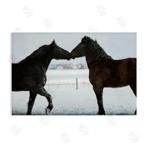 stupell industries Amy Carroll | Winter Horse Pair