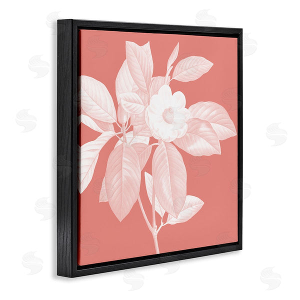 Stupell Industries Andrea Haase | Pink & White Floral