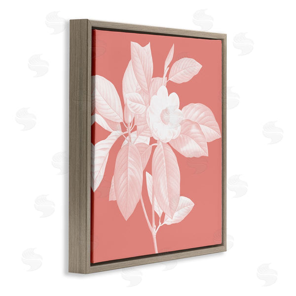 Stupell Industries Andrea Haase | Pink & White Floral