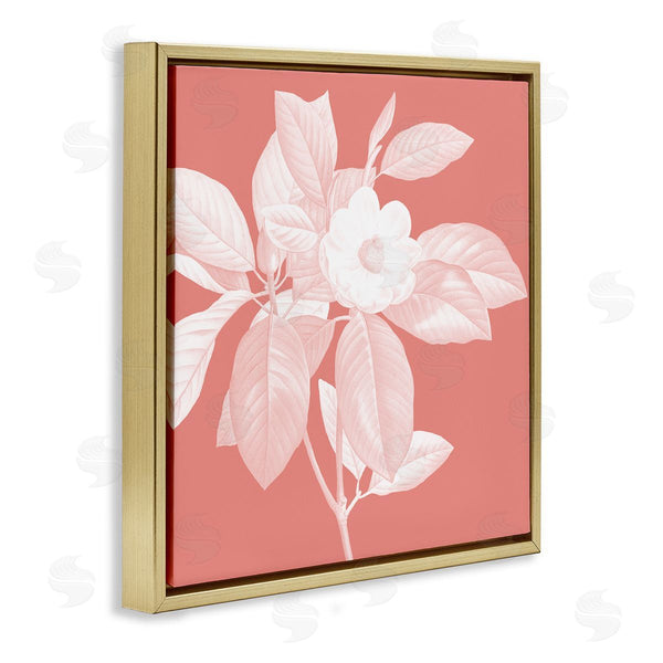 Stupell Industries Andrea Haase | Pink & White Floral
