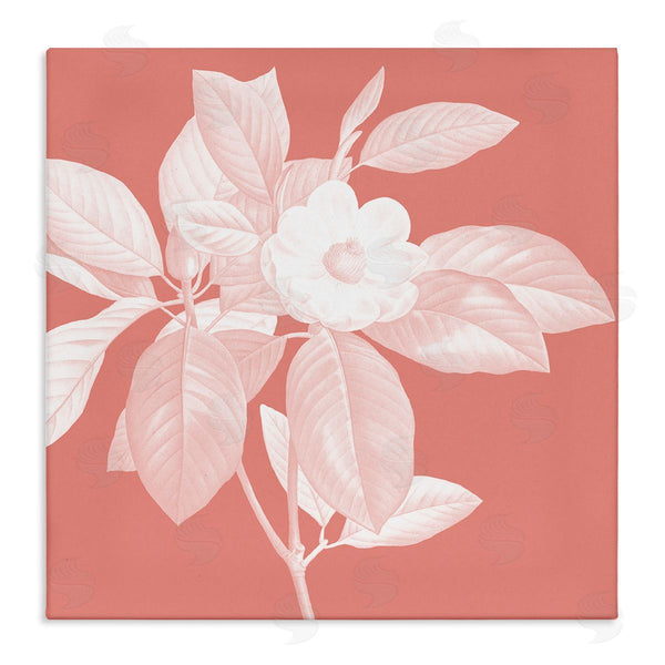 stupell industries Andrea Haase | Pink & White Floral