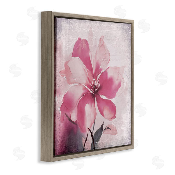 Stupell Industries Andrea Haase | Vintage Pink Lily