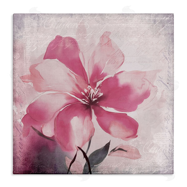stupell industries Andrea Haase | Vintage Pink Lily