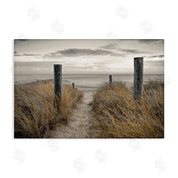 stupell industries Assaf Frank | Stormy Beach Day