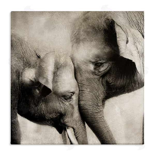 stupell industries CAD Designs | Elephant & Baby Hug