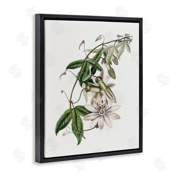 Stupell Industries CAD Designs | Vintage Lily Plant