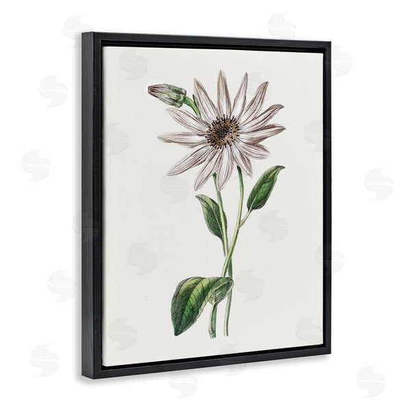 Stupell Industries CAD Designs | Vintage Mum Sprig