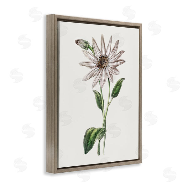 Stupell Industries CAD Designs | Vintage Mum Sprig