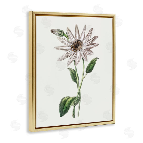 Stupell Industries CAD Designs | Vintage Mum Sprig