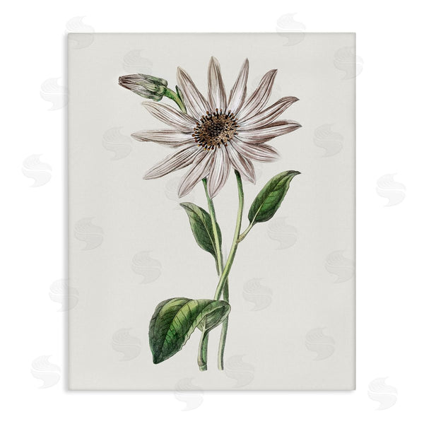 stupell industries CAD Designs | Vintage Mum Sprig